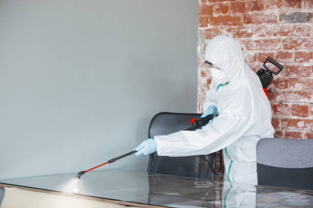 Best Emergency Mold Remediation  in Hershey, PA